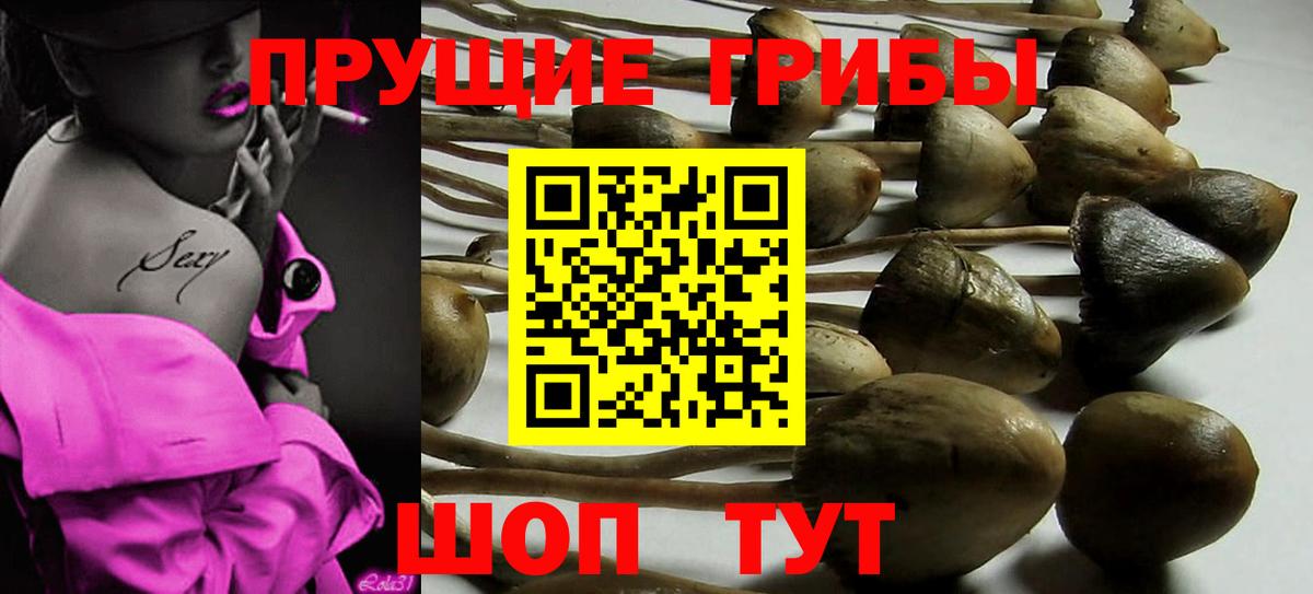 магазин продажи   Вход с VPN  Первоуральск  Галлюциногенные грибы Magic Shrooms 